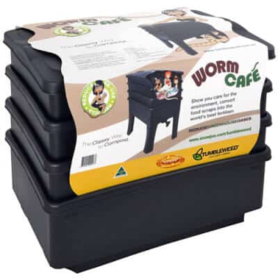 The worm cafe in it's original packaging.