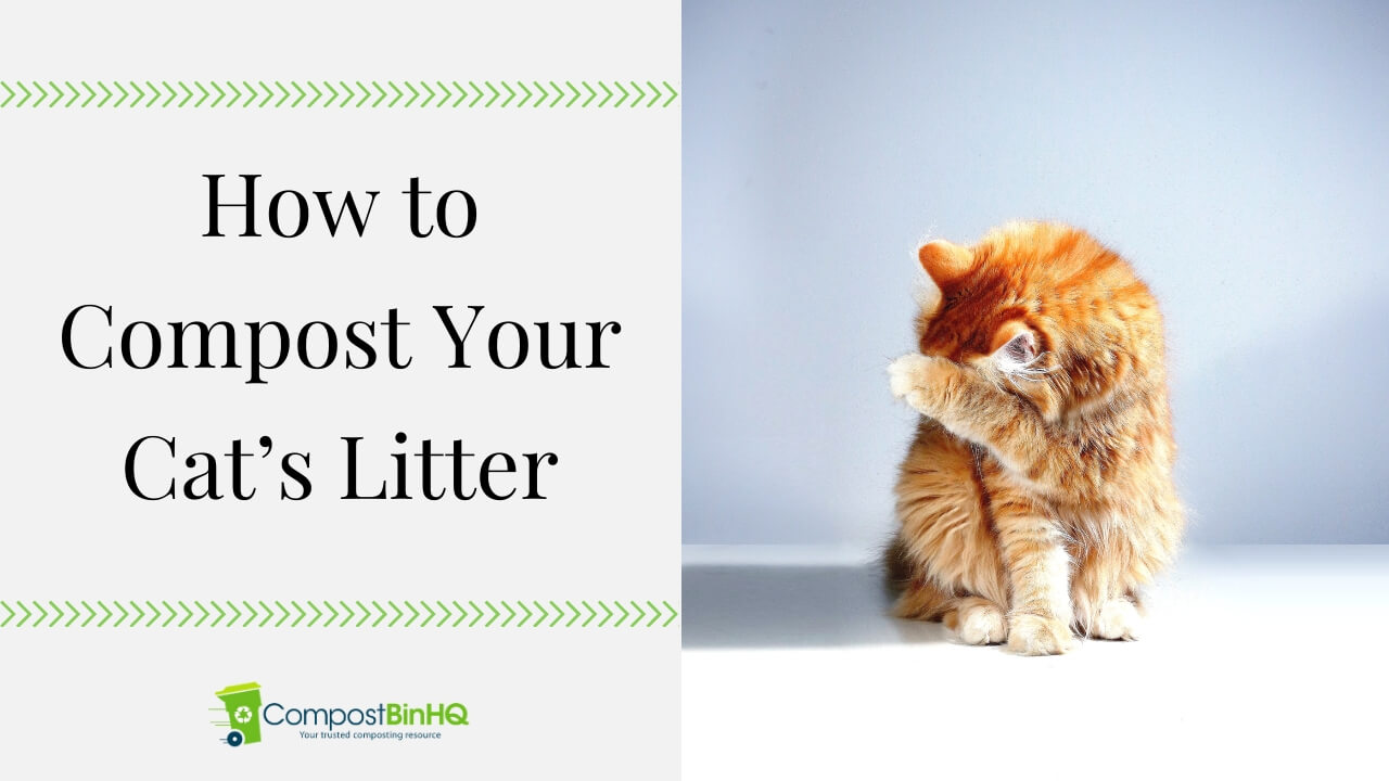 how to dispose of cat litter
