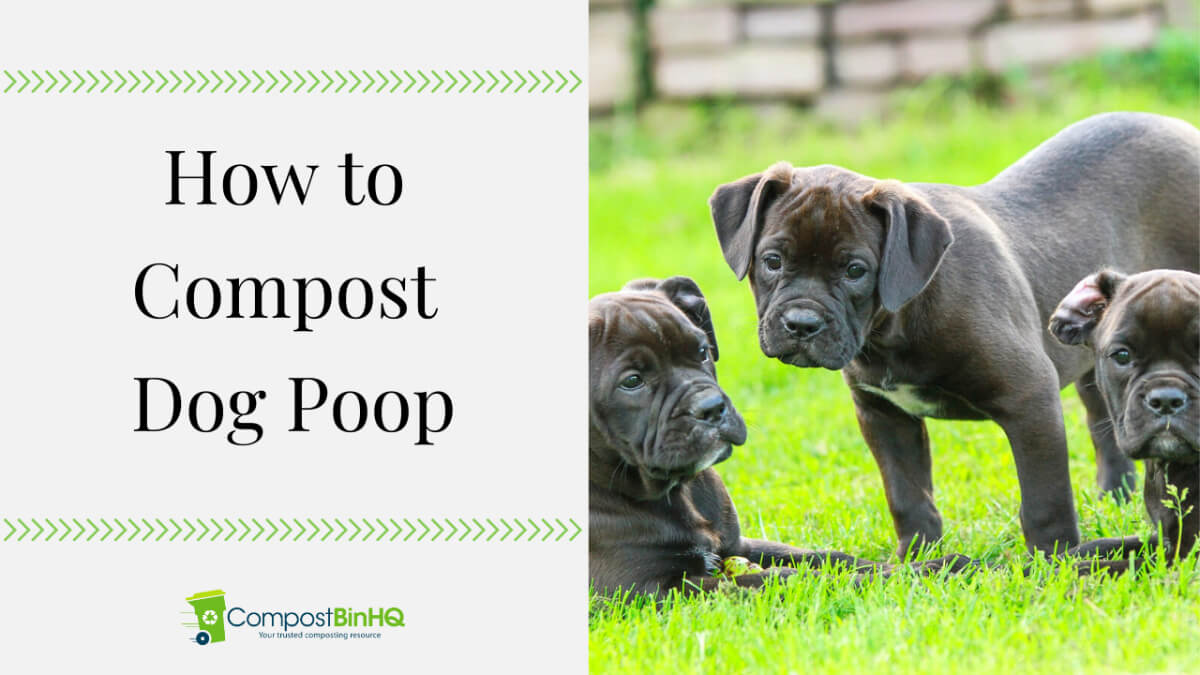 composting dog poop